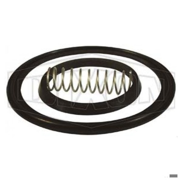 Dixon 1 in SPRING CK VLV REPAIR KIT FKM B46MP-RKV100 - main